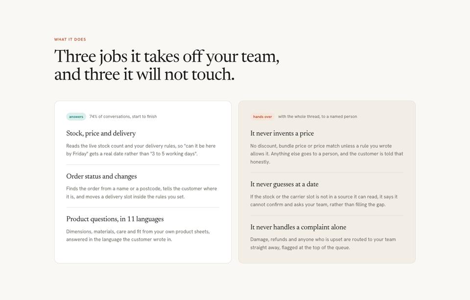 AI Product template — What it does section