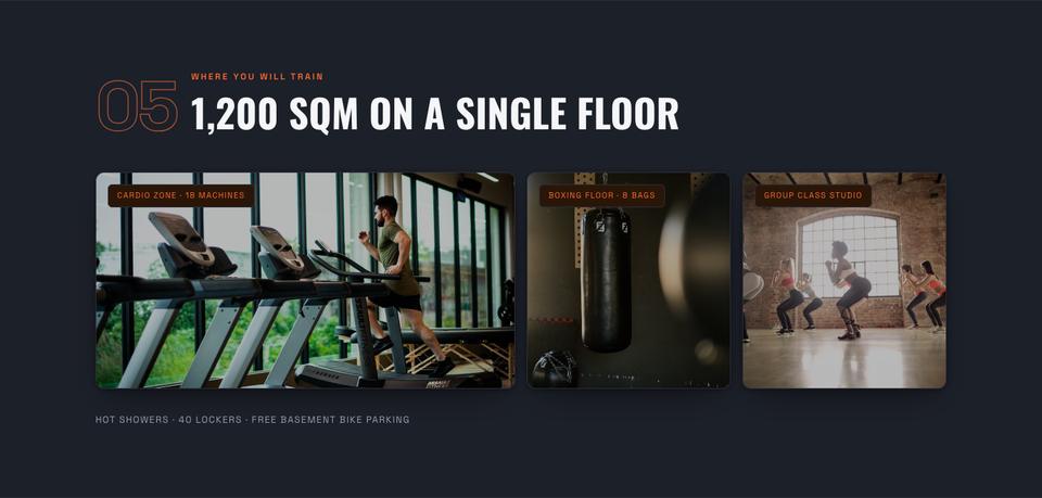 Gym template — The gym section