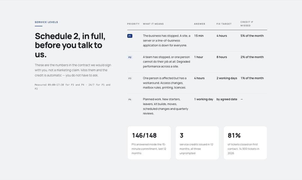 IT Solutions template — Service levels section