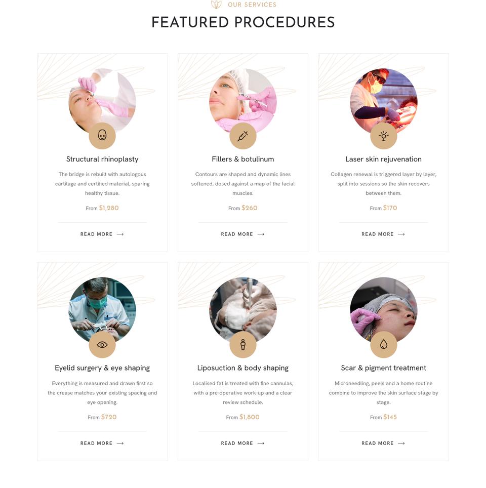 Aesthetic Clinic template — Procedures section