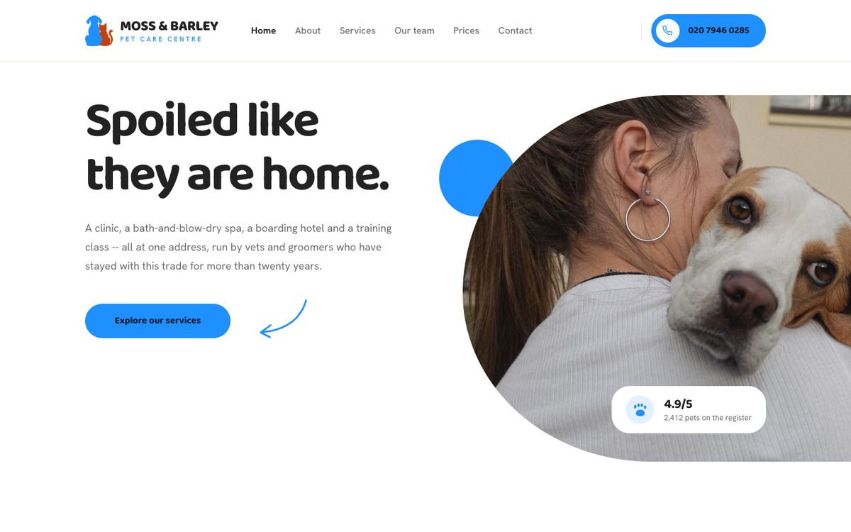 Pet Care template