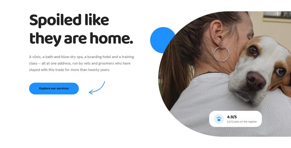 Pet Care template — Hero section