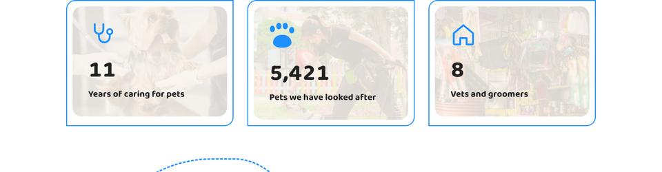 Pet Care template — Numbers band section