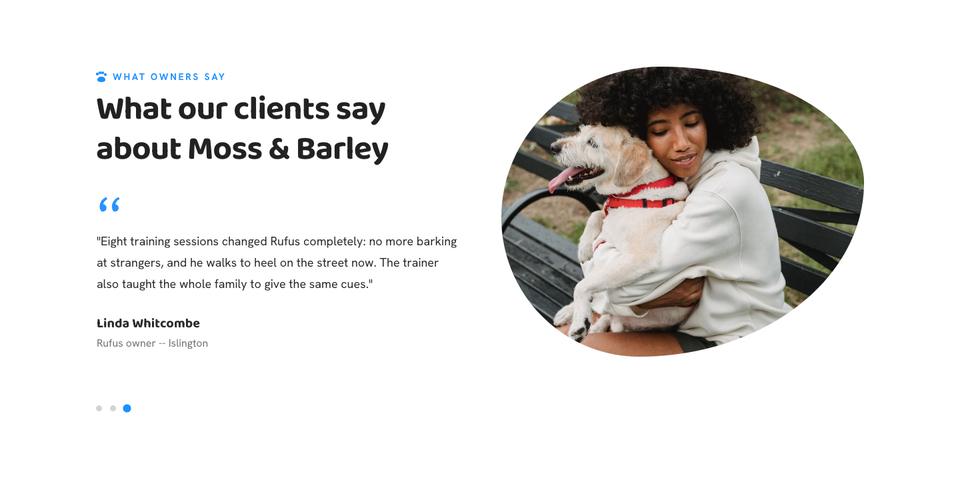 Pet Care template — Reviews section