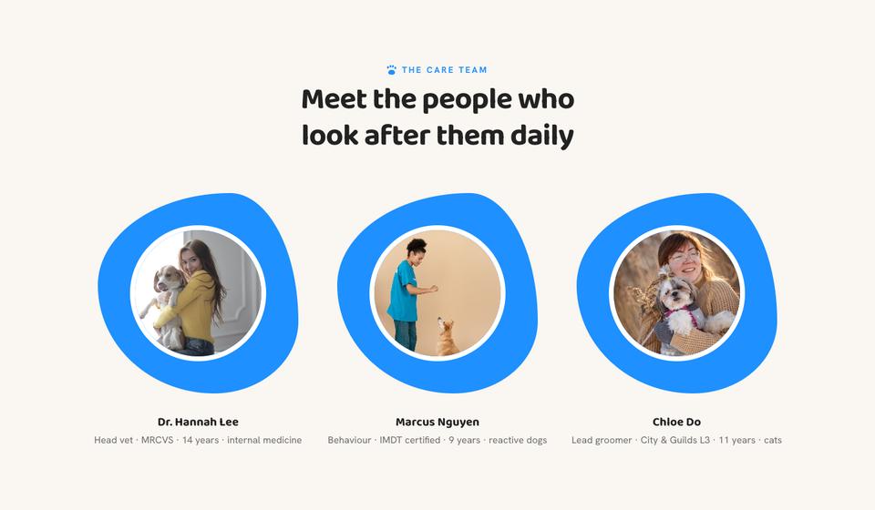 Pet Care template — Care team section