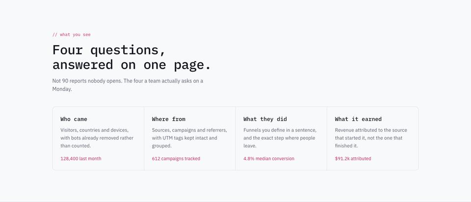 Data Panel template — What you see section