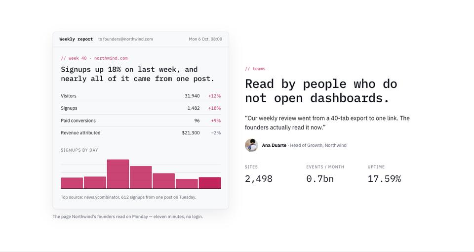 Data Panel template — Weekly report section