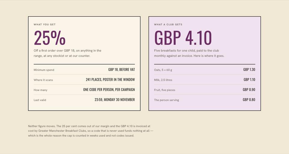 Campaign Promotion template — What you get section