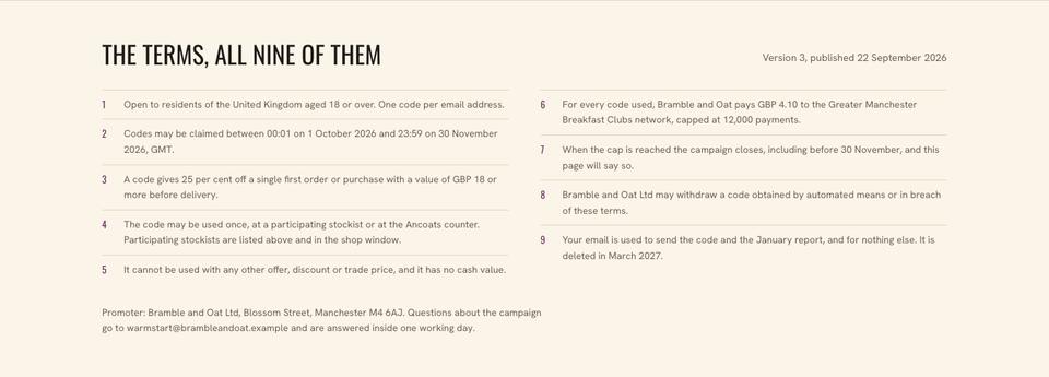 Campaign Promotion template — The terms, all nine of them section