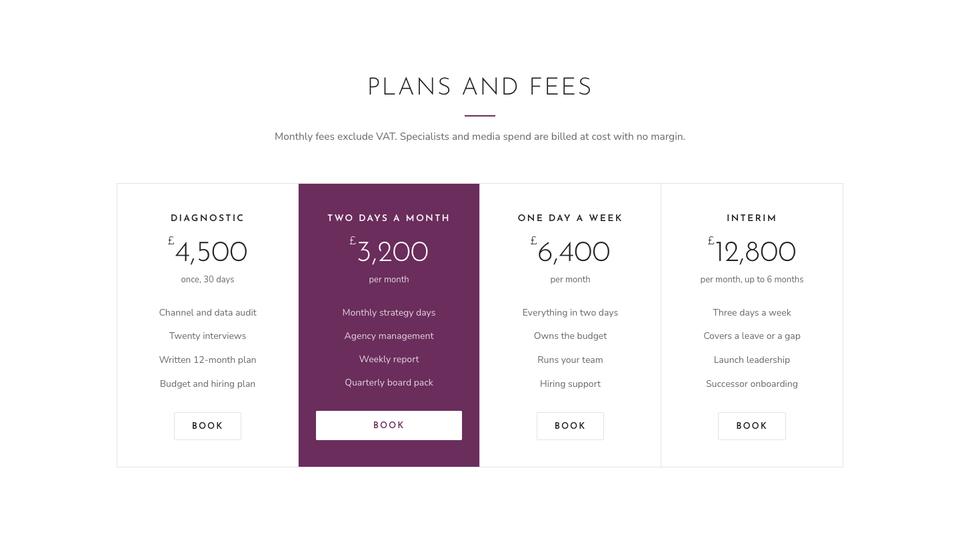 Solo Consultant template — Plans and fees section