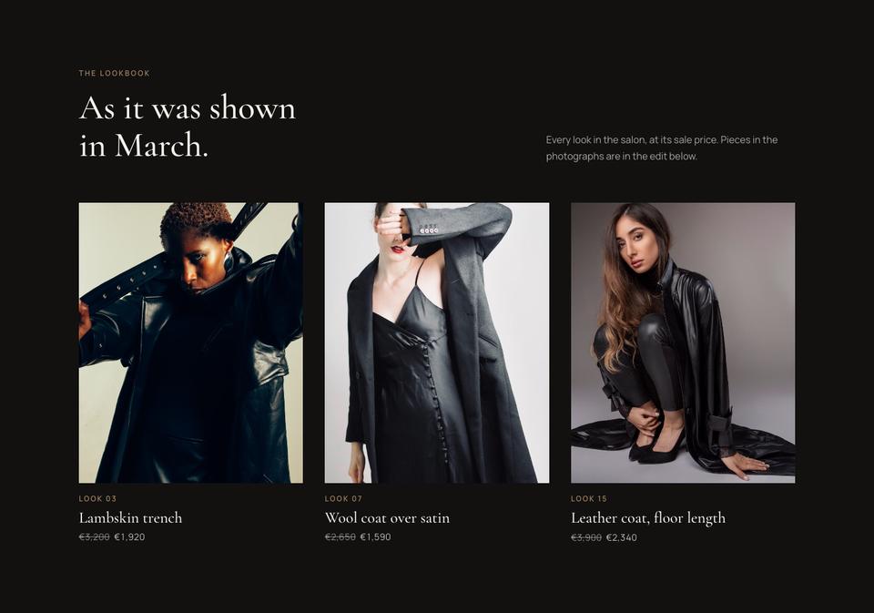 Private Salon Sale template — The lookbook section