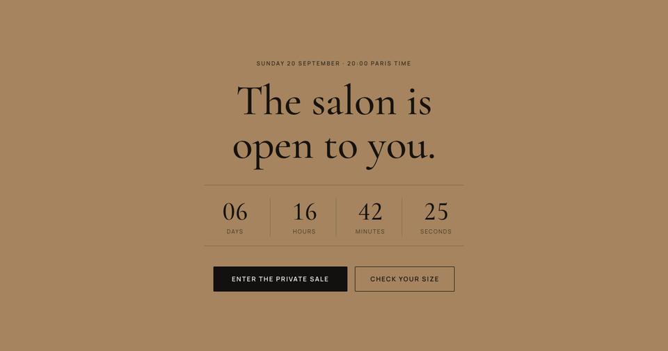 Private Salon Sale template — Enter section