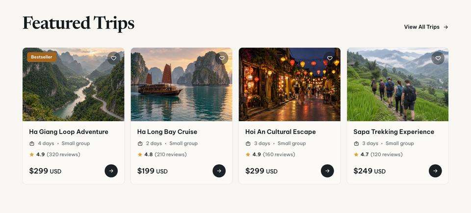 Vietnam Journeys template — Trips section