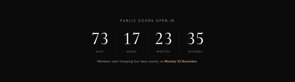 Black Friday Early Access template — Countdown section