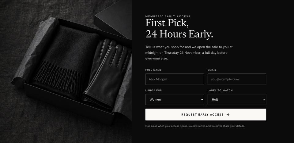 Black Friday Premium Brands template — Early access section