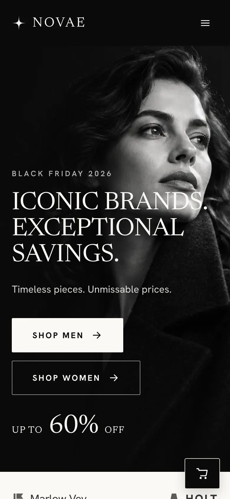 Black Friday Premium Brands landing page template on a phone