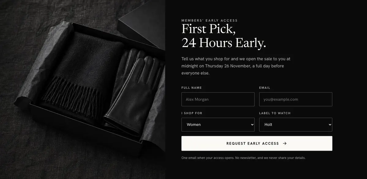 Black Friday Premium Brands template — Access section