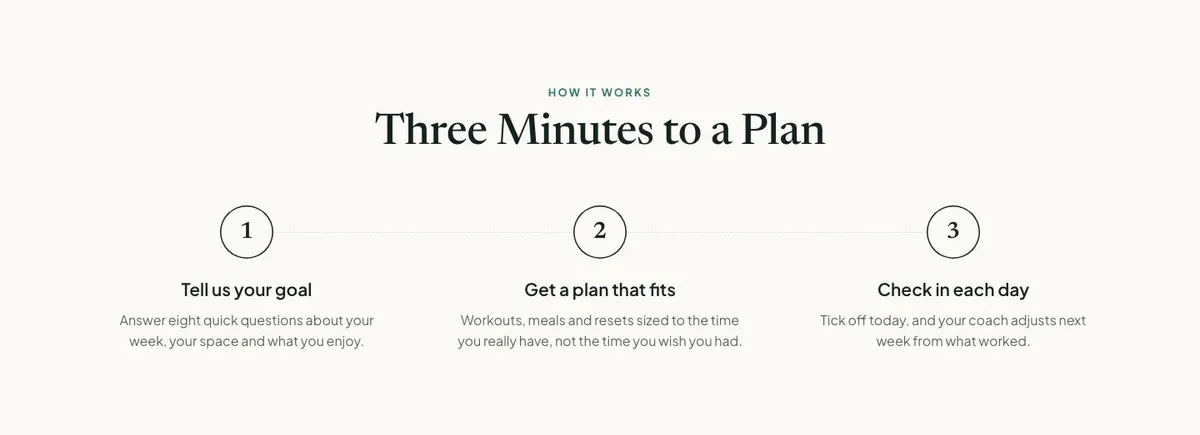 New Year Fitness template — How section