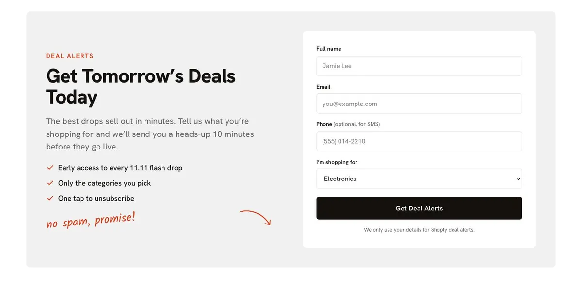 11.11 Flash Sale template — Alerts section