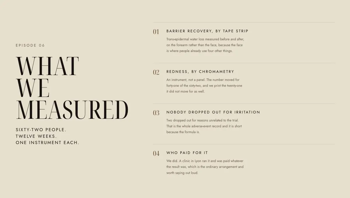 Wholesale Marketplace template — Evidence section