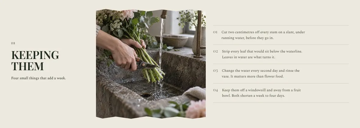 Wedding Atelier template — Care section