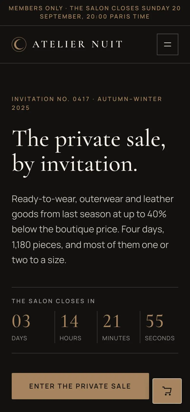 Private Salon Sale landing page template on a phone