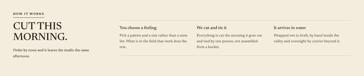 SaaS Annual Deal template — How section