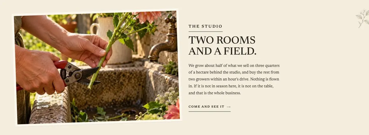 SaaS Annual Deal template — Studio section