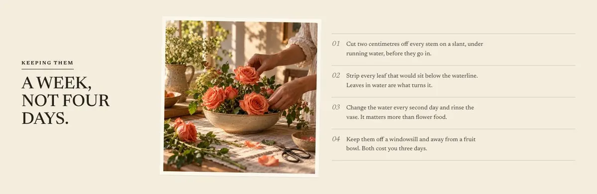 SaaS Annual Deal template — Care section