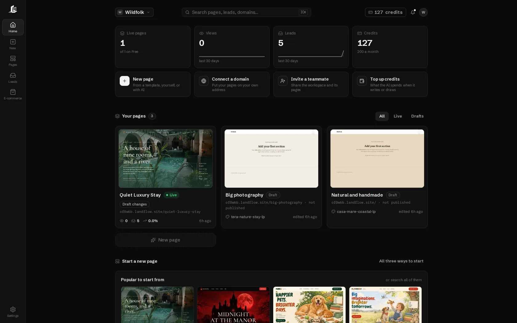 A landflow workspace: live pages, views, leads and credits